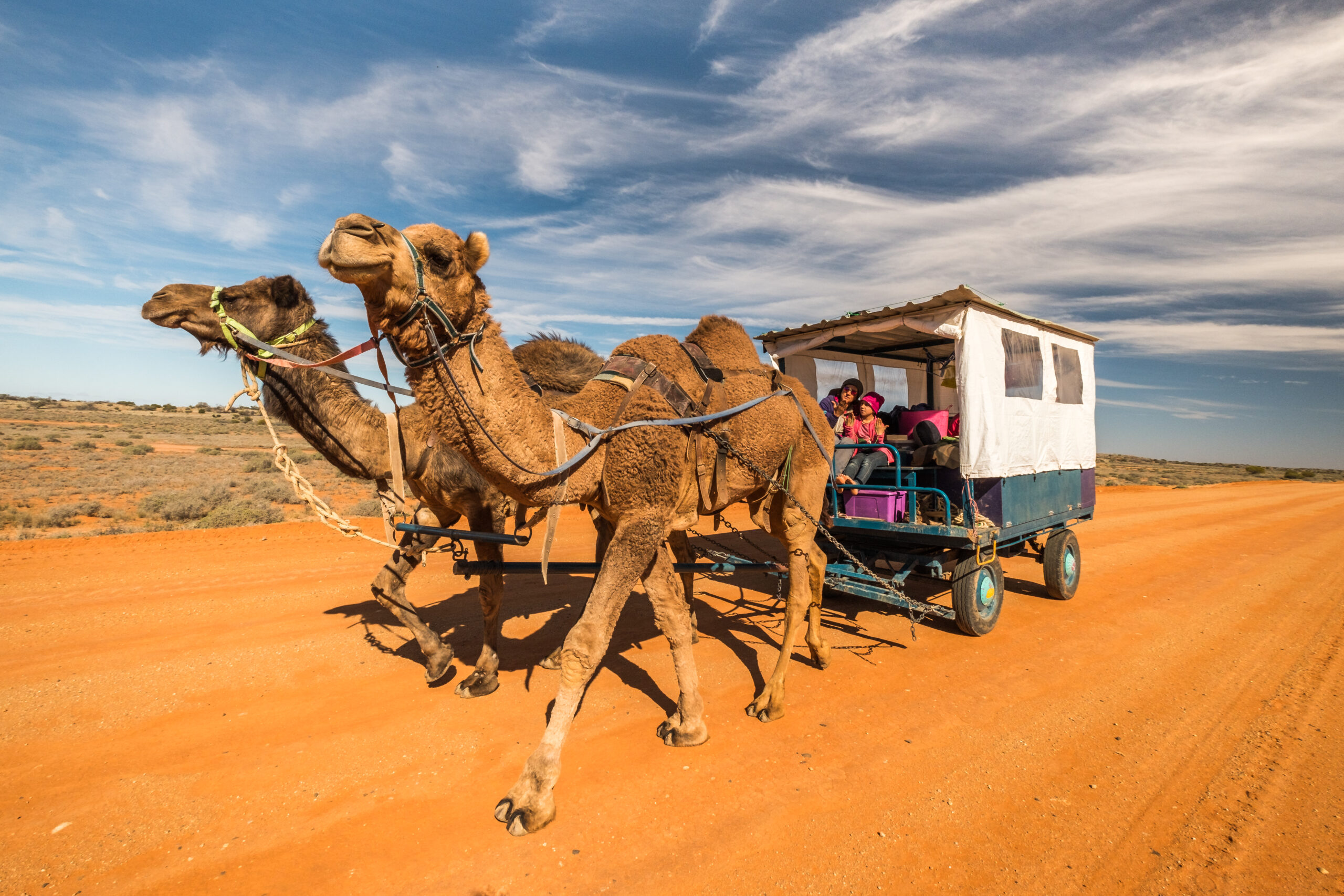 Australien – mit Kamelen durchs Outback